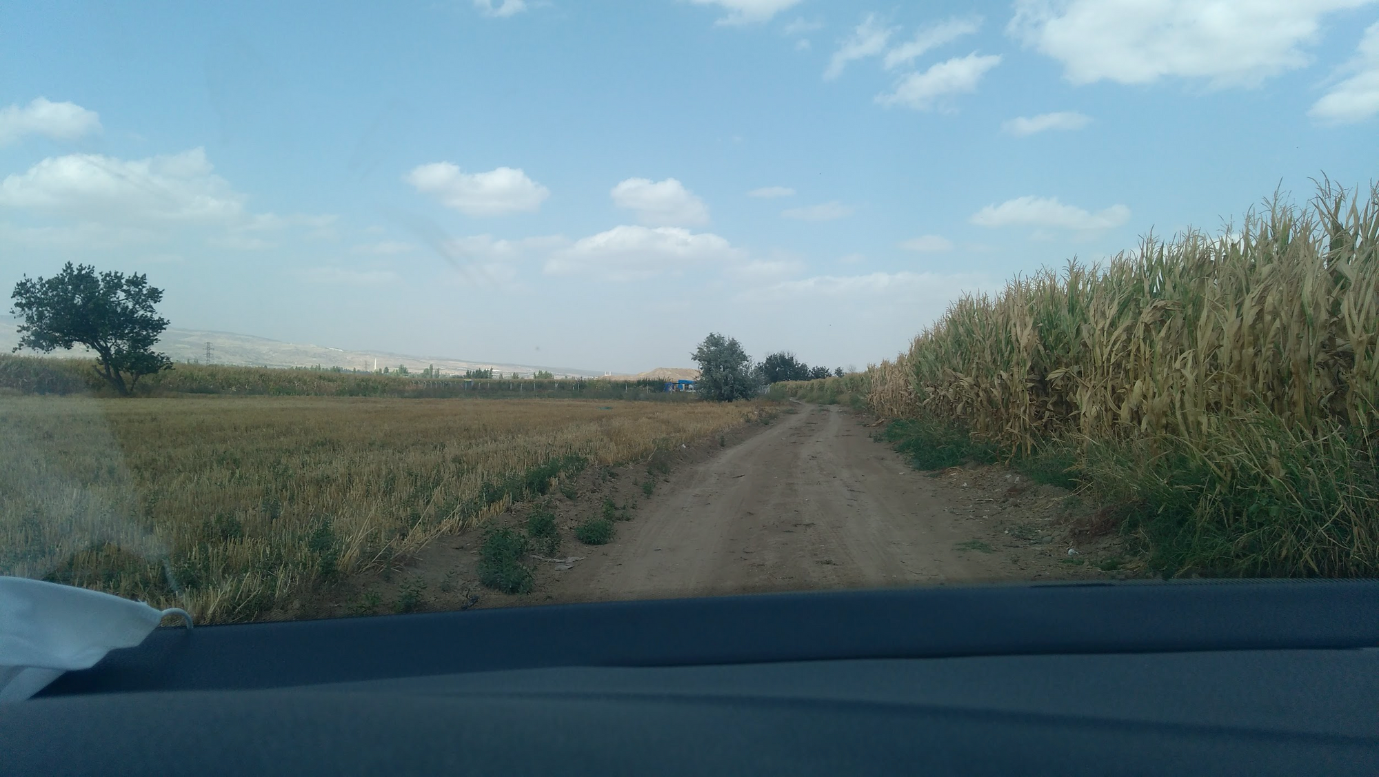 One Big Effort: Why We Identified Corn Fields Across all Farmlands in Turkey