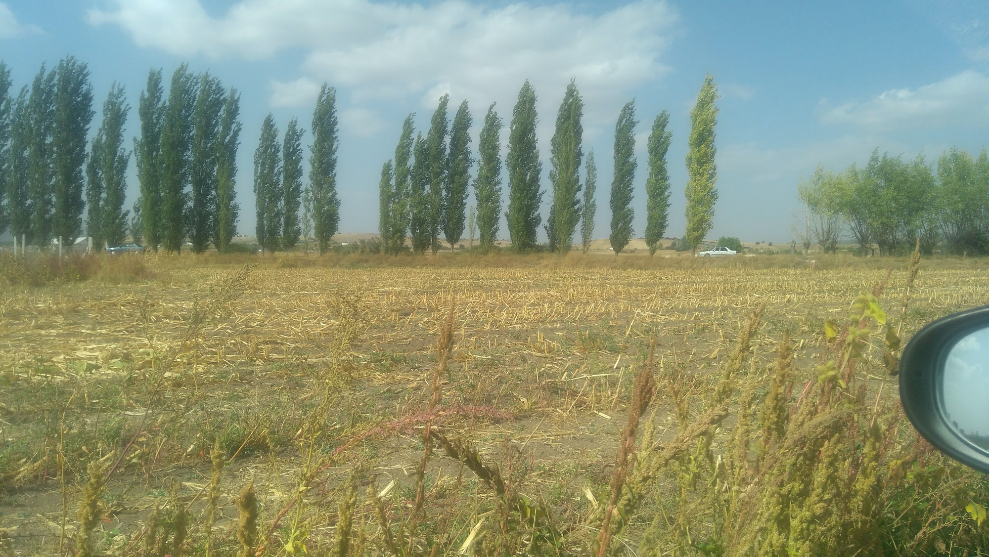 One Big Effort: Why We Identified Corn Fields Across all Farmlands in Turkey